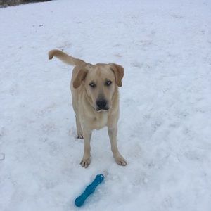 Meet your Posher, Lindsay